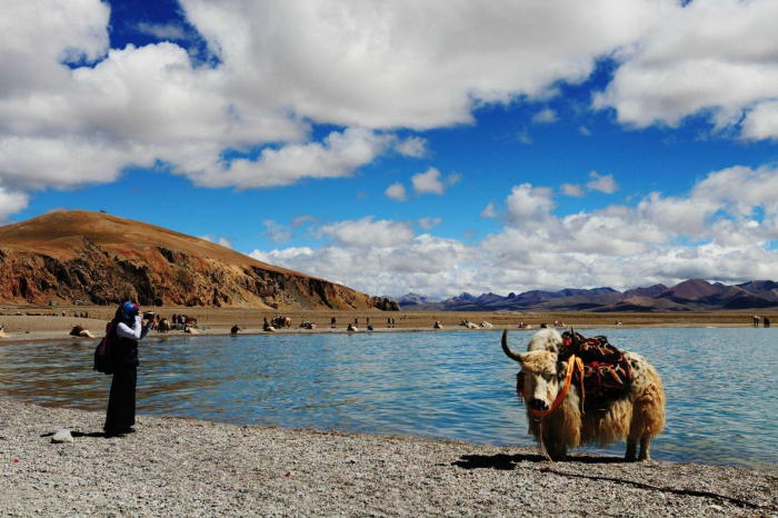 10 Tage Reisen von Lhasa nach EBC und Namtso See in kleiner Gruppe
