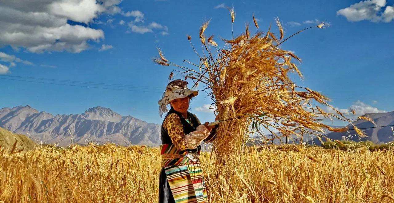 Tibet Reisen 2020 Tibet Reisen 2020